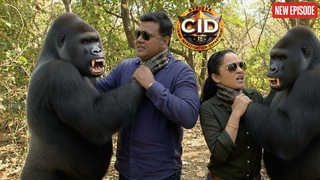 দুটি হিংস্র গরিলা দয়া এবং পূর্বীকে শ্বাসরোধ করে হত্যা করে || CID BANGLA  || NEW EPISODE