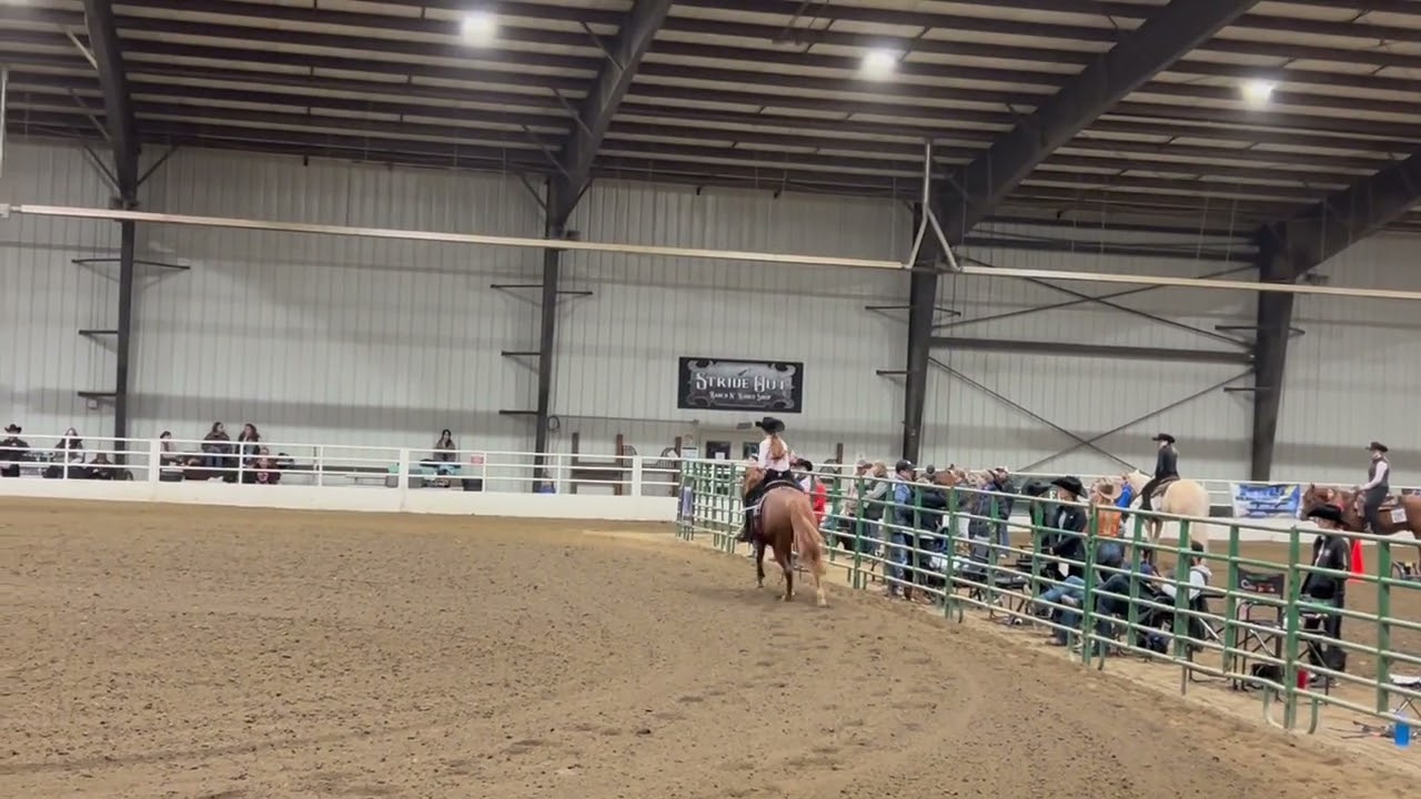 February 2025 - YEDA Reining Video - Mallory Kirby