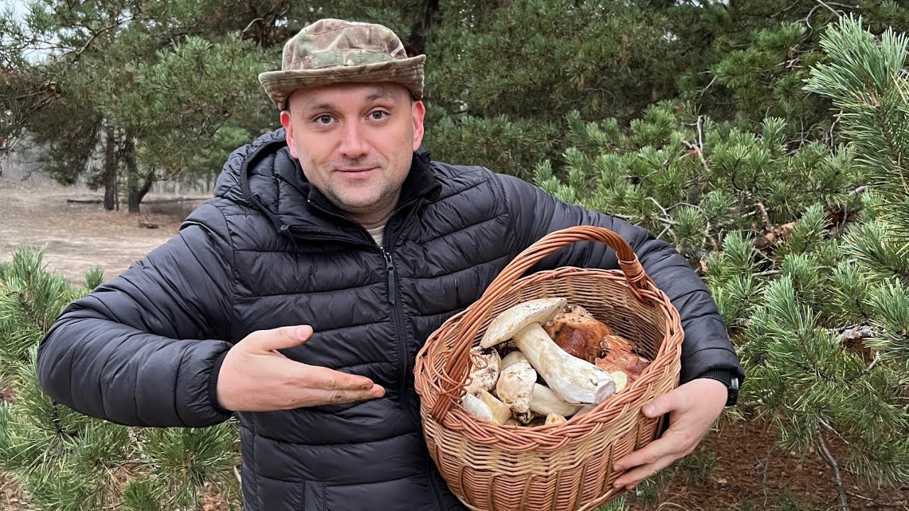 Я в глубоком ШОКЕ! Декабрьские белые грибы, маслята!
