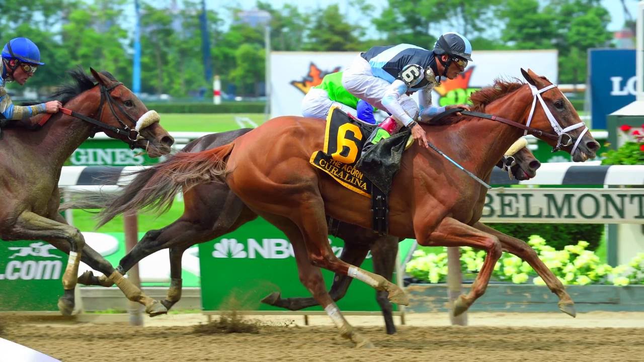 Aiken Thoroughbred Racing Hall of Fame & Museum - Best Equestrian Attraction - The Carolinas 2016