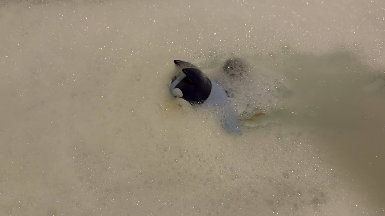 Забавная голубая игрушка для ванны! - TOMY Toomies Bluey Swimming Bath Toy
