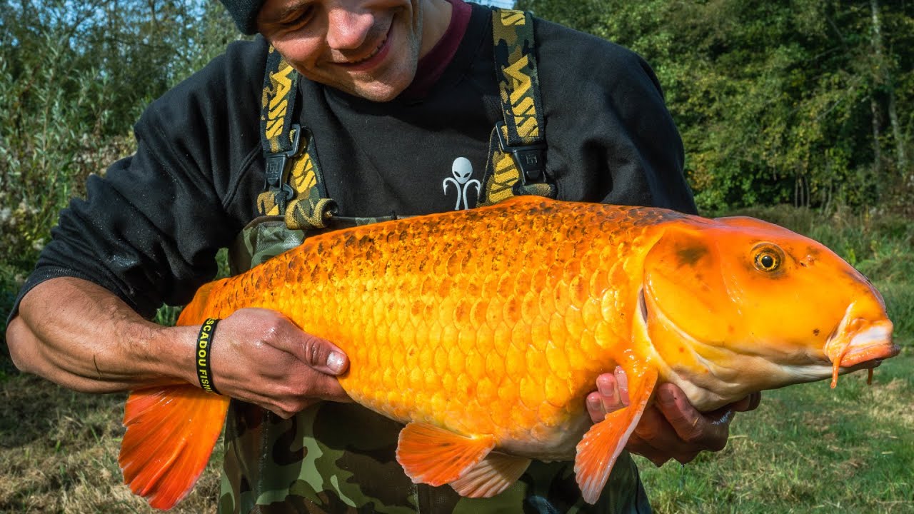 Une DERNIÈRE pêche avec LOU PESCADOU (Lisez la DESCRIPTION SVP)