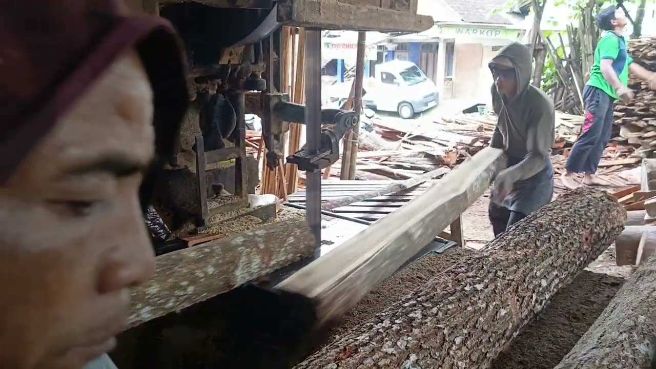 HASIL BERLIPAT POTONG AKASIA MANGIUM 2M