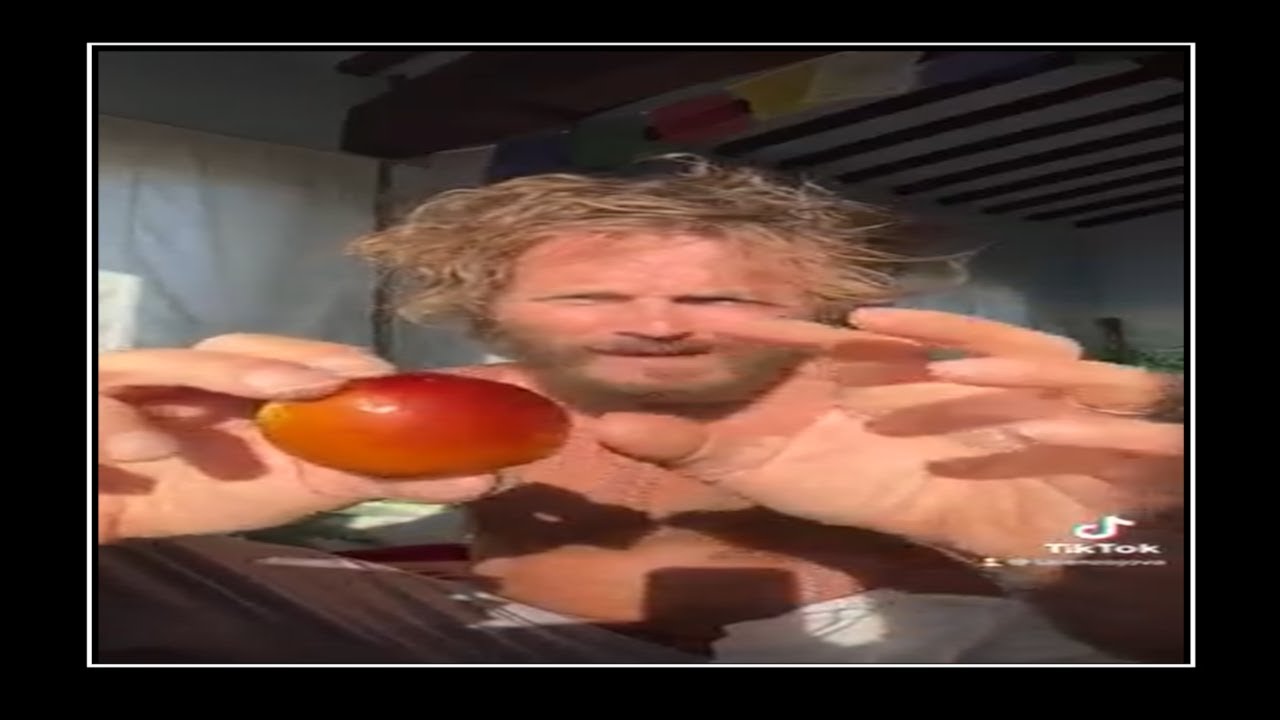 Giuggiola - Jovanotti