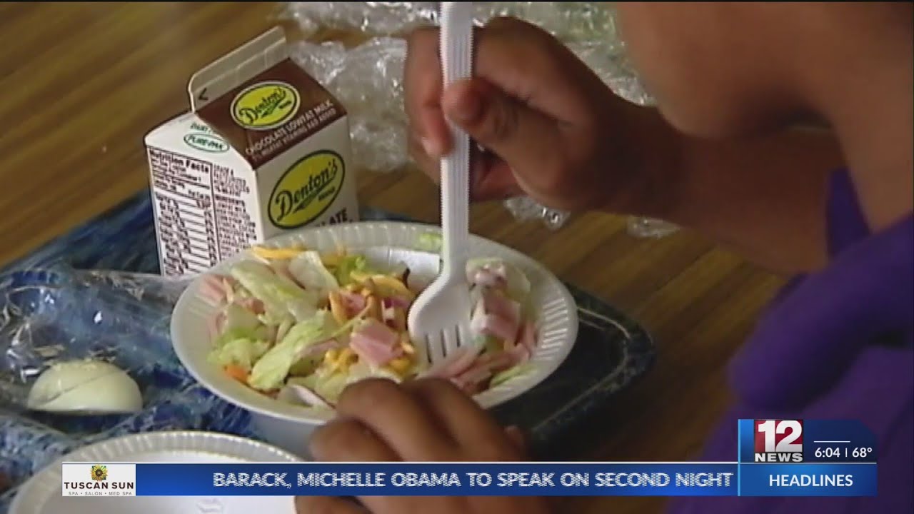 School Lunch vs. Packed Lunch: Which is healthier?