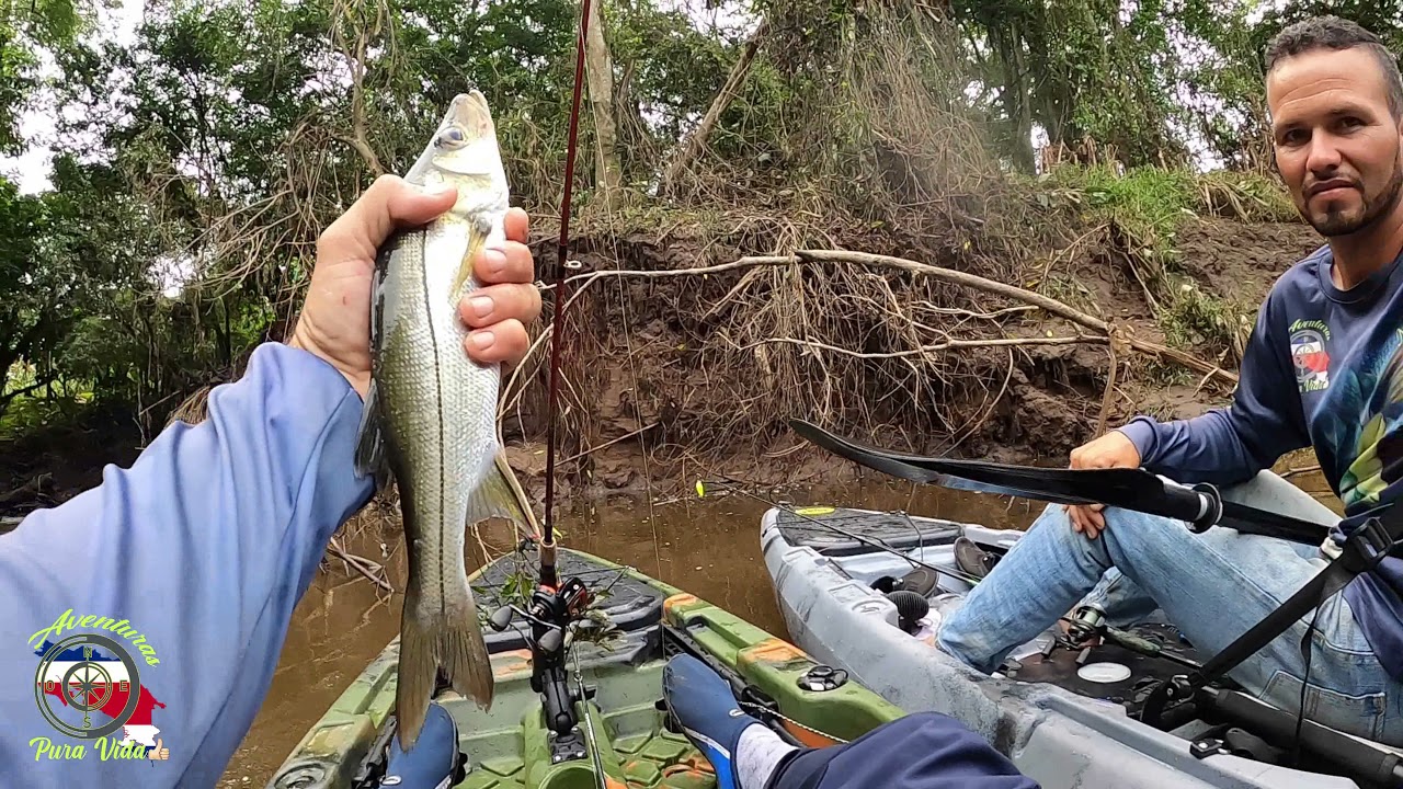 Río Sarapiquí, Costa Rica. Pesca y Cocina de Robalo. Hermoso Lugar Para un Tour en Kayak