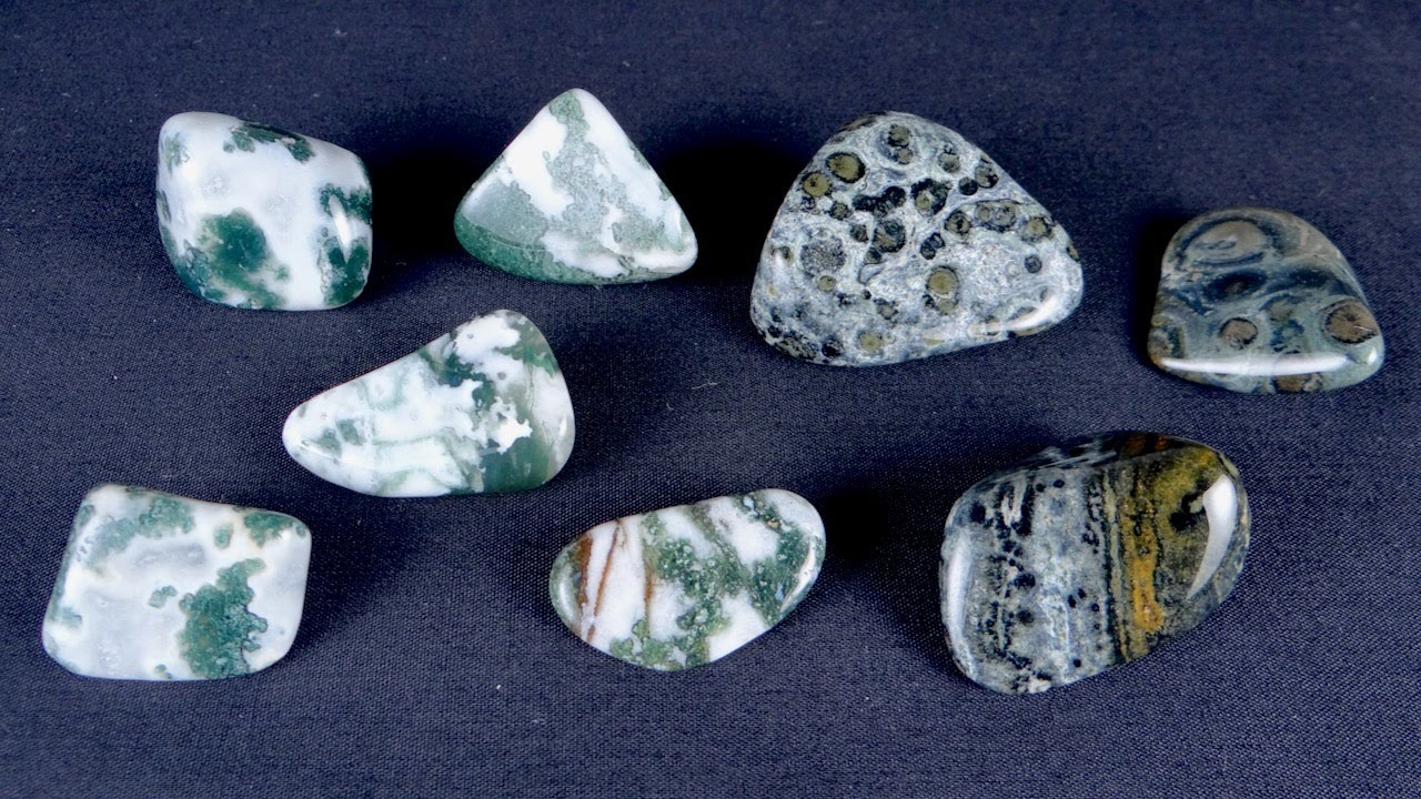 Kambaba Jasper and Green Tree Agate—Rocks in a Box 58