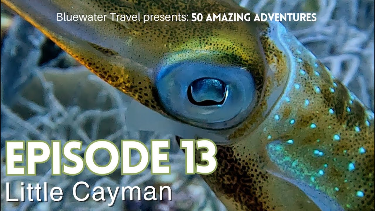 🐠 This is Little Cayman!