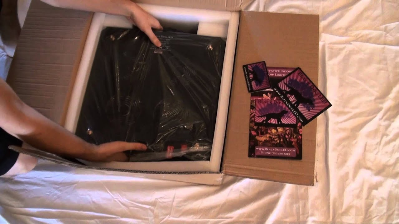 ULTIMATE LED TEST - Black Dog LED Unboxing - Episode 23