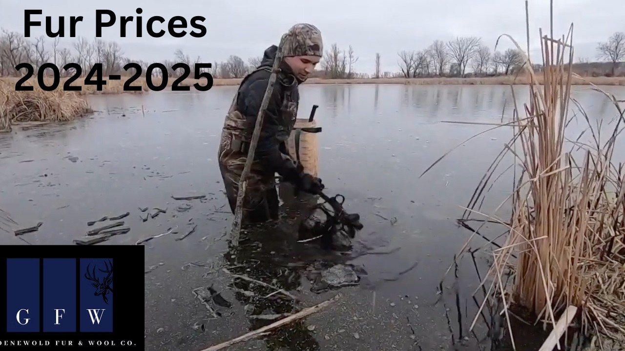 GFW Fur Prices 2024-2025 Fur Market @GFWmarket