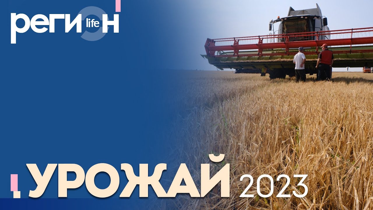 Регион LIFE | Урожай 2023 | ОТС LIVE &mdash; прямая трансляция