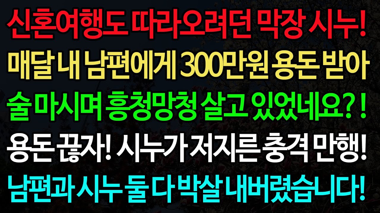 실화사연-신혼여행도 따라오려던 막장 시누! 매달 내 남편에게 300만원 용돈 받아 술 마시며 흥청망청 살고 있었네요?! /노후/사연/오디오북/인생이야기