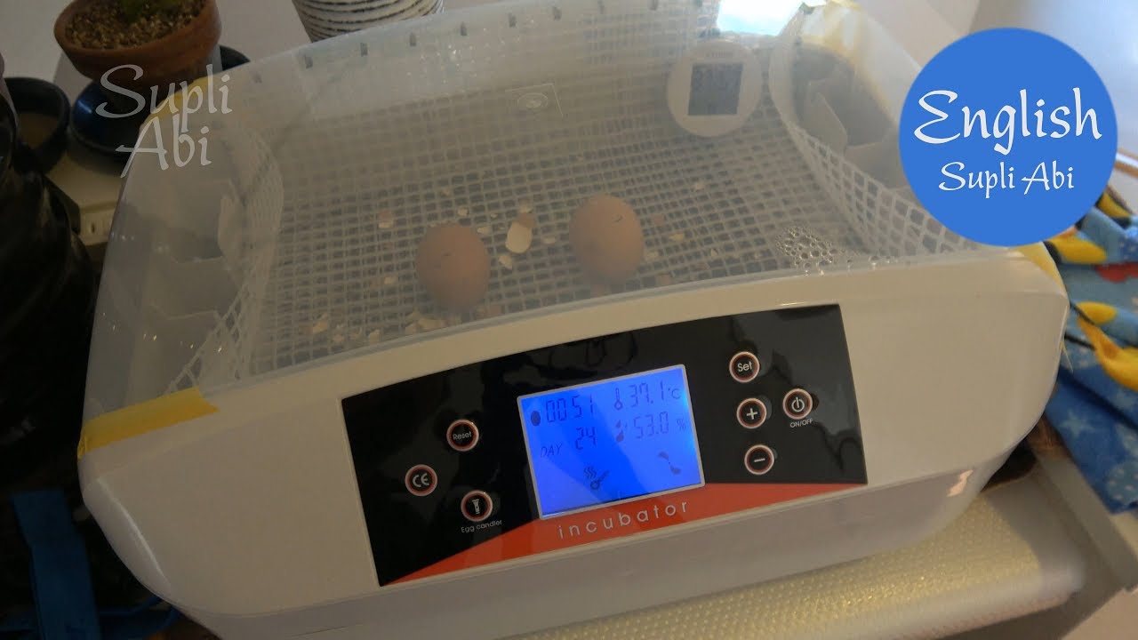 How to clean and disassembly HHD Automatic Egg  Incubator?  Egg incubation Part 5 【4K】
