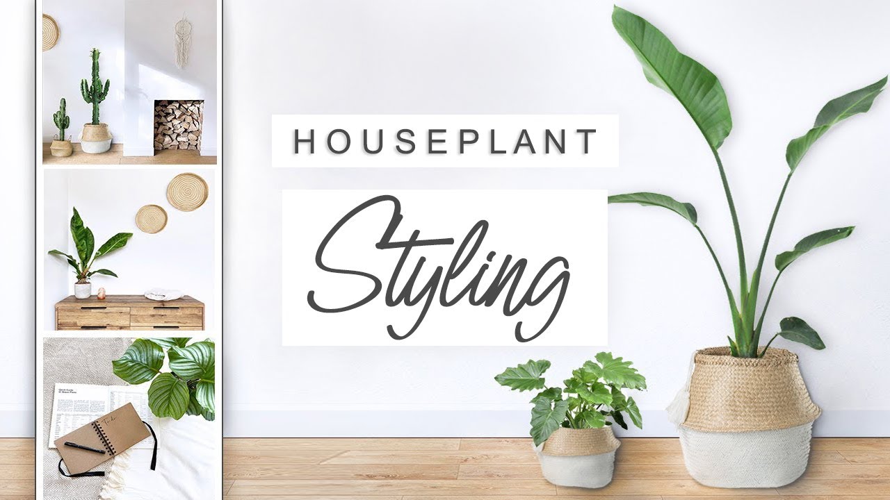 Transforming My Living Room Into A Jungle 🌱 Decorating With Plants 💚