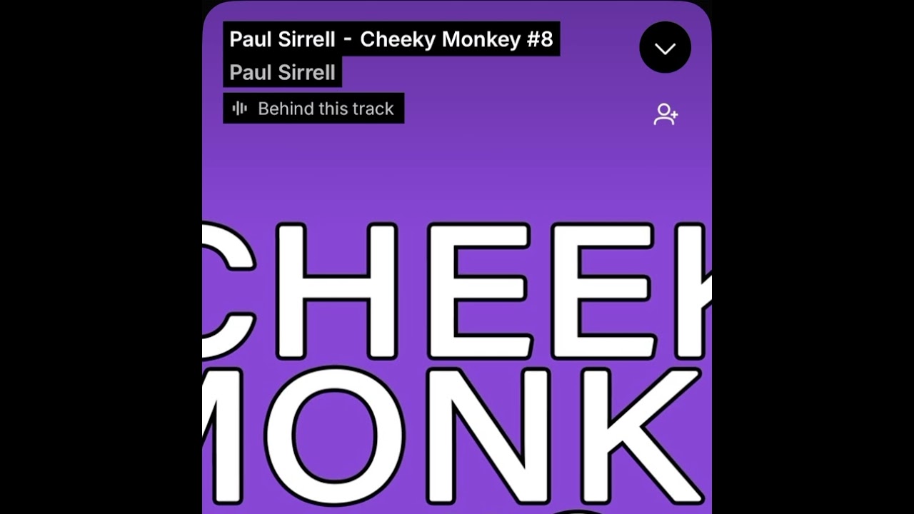 Paul Sirrell - Cheeky Monkey #8