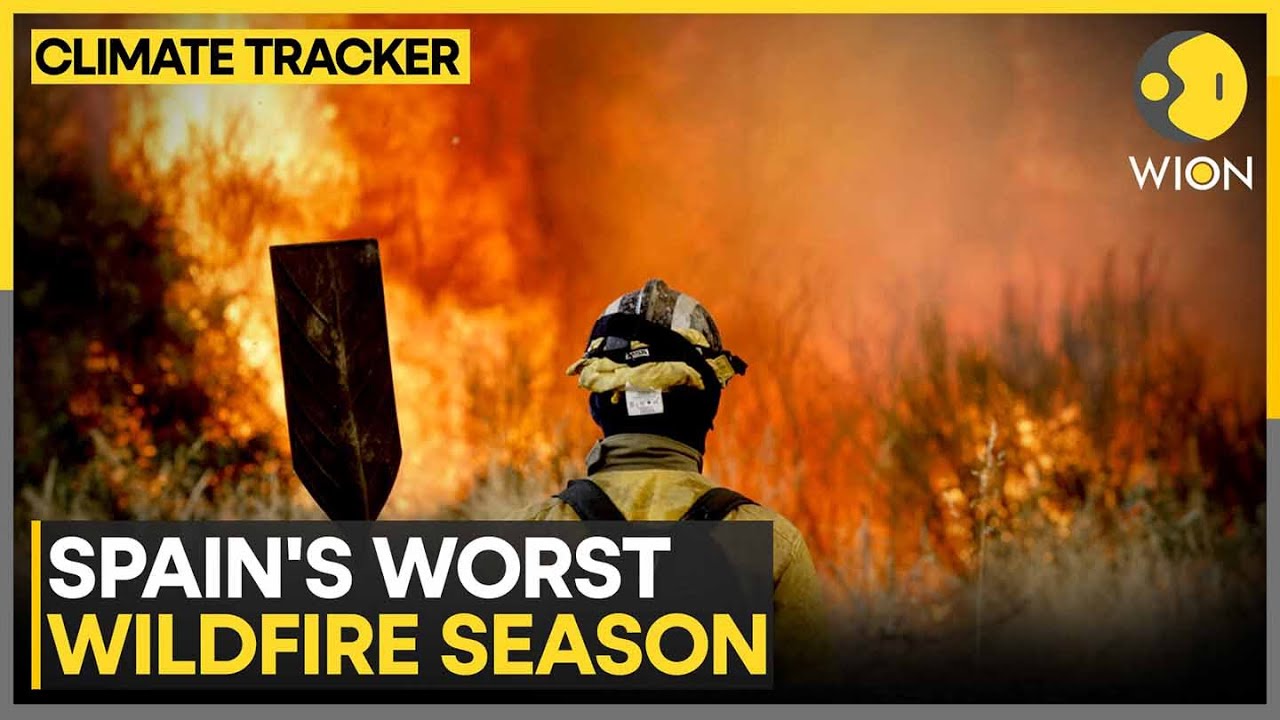 Wildfires Rage In Spain And Portugal As Heatwave Continues | WION Climate Tracker