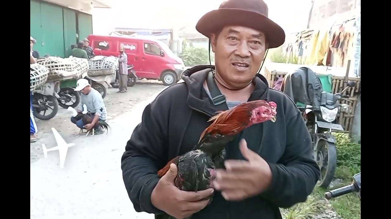 PASAR UNGGAS BABELAN KABUPATEN BEKASI