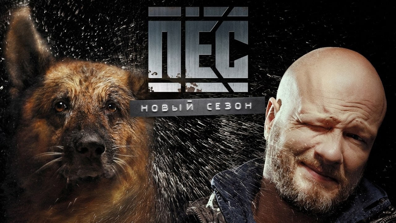 Сериал Пёс: 5 СЕЗОН, ВСЕ СЕРИИ ПОДРЯД