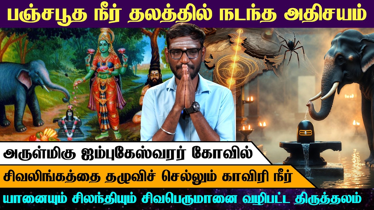 பஞ்சபூத நீர் தலத்தில் நடந்த அதிசயம் | யானையும் சிலந்தியும் பூஜித்த ஜம்புகேஸ்வரர் | Arrow Divine