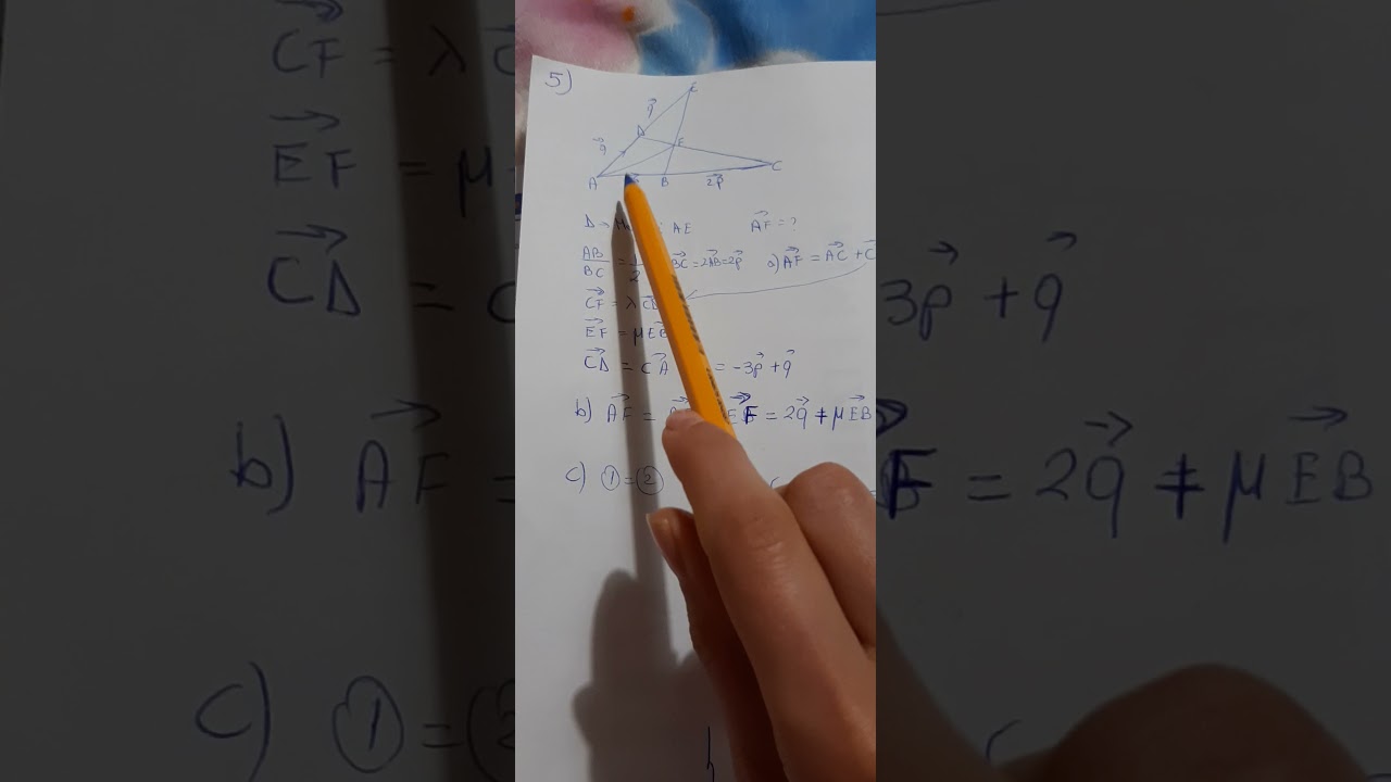 Ushtrime me vektor 6.1B