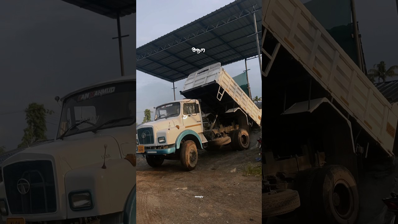 ആന 💪💪💪 #kerala #kochivlog #comedyvideos #aana #lorry #lorrypranthan #lorryvideos