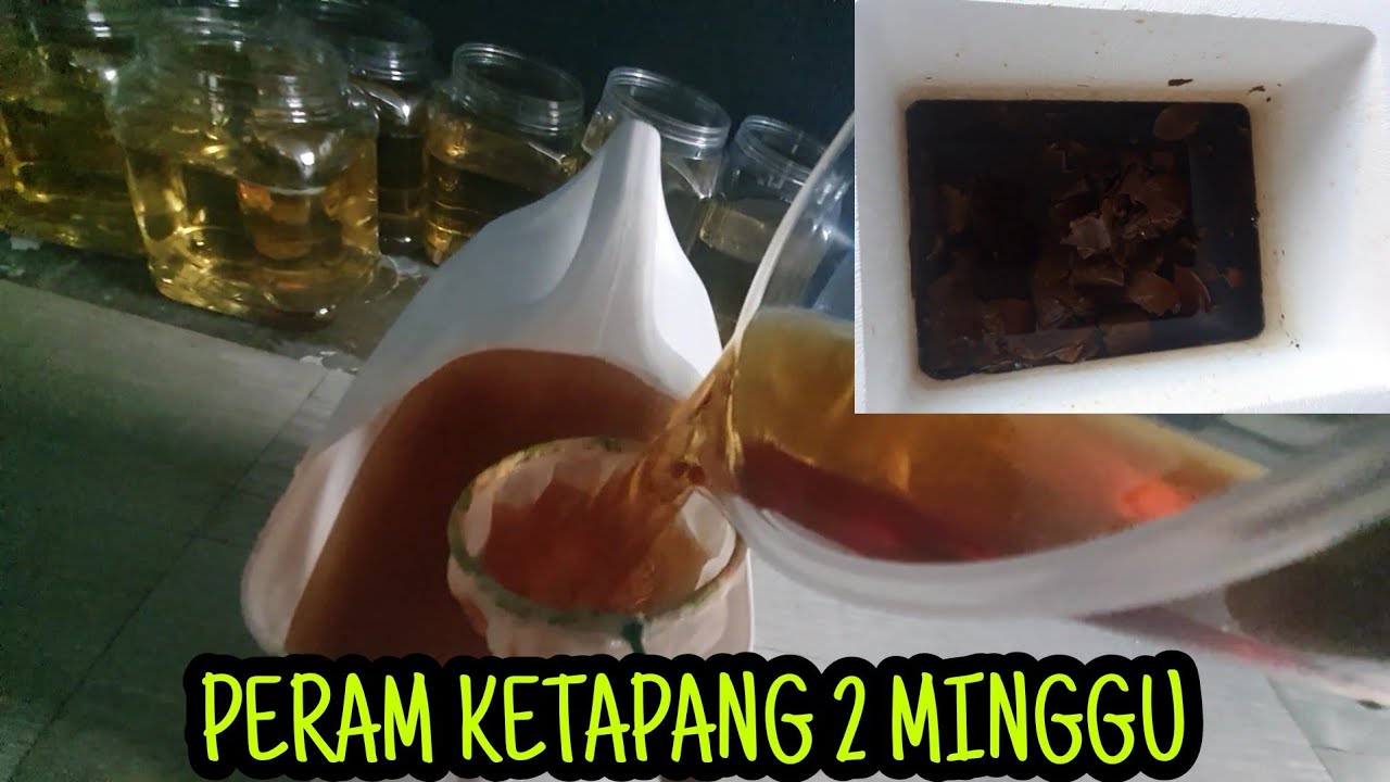 GROOM SAIZ DAN WARNA IKAN LAGA. CARA MUDAH DAN SELAMAT UNTUK IKAN ANDA!