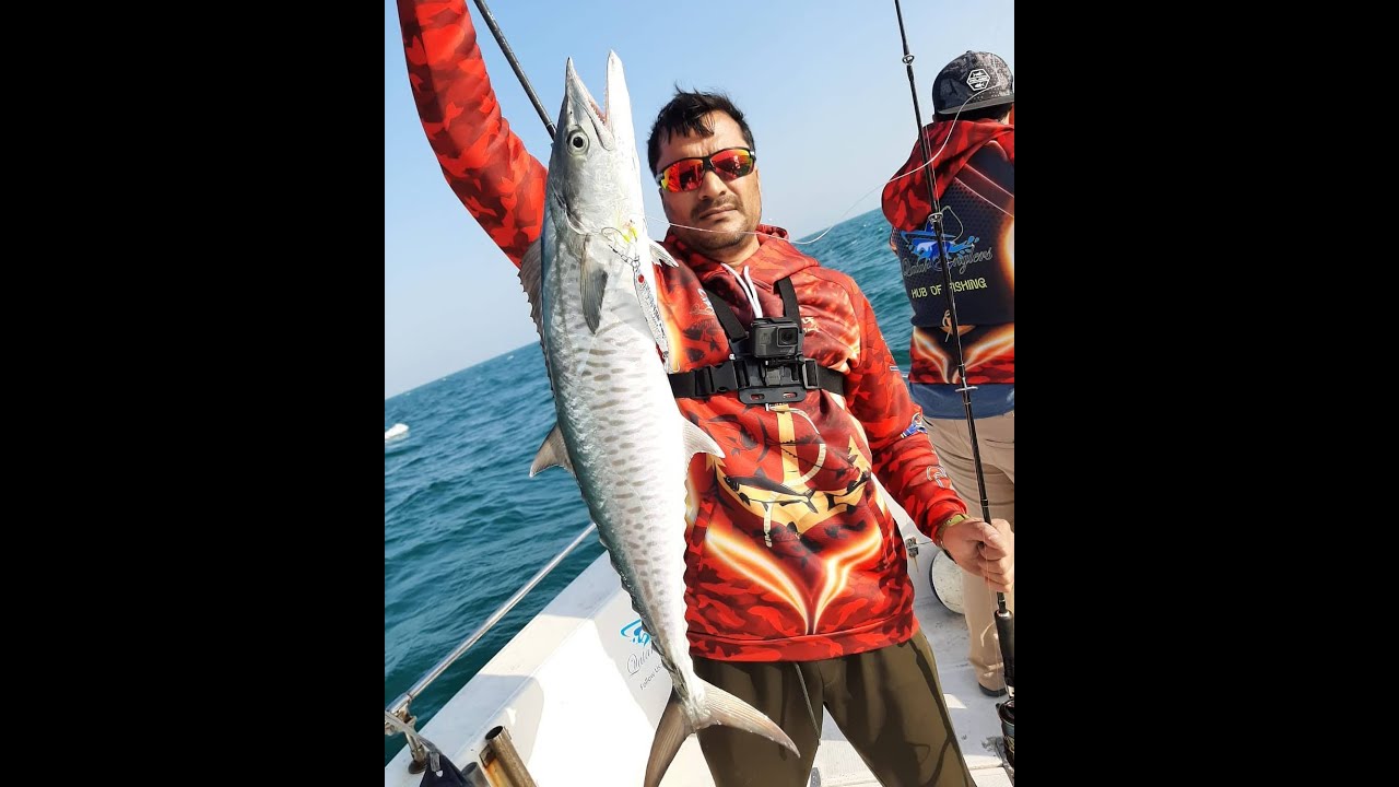 Uncut video live strike's - King Mackerel - Qatar Fishing