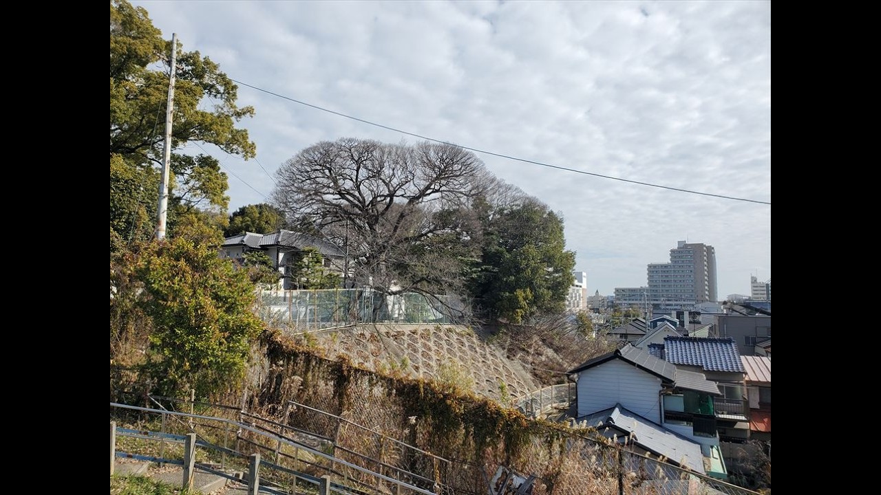 【日本の城】尾張国山崎城 令和8年(2026) 初春