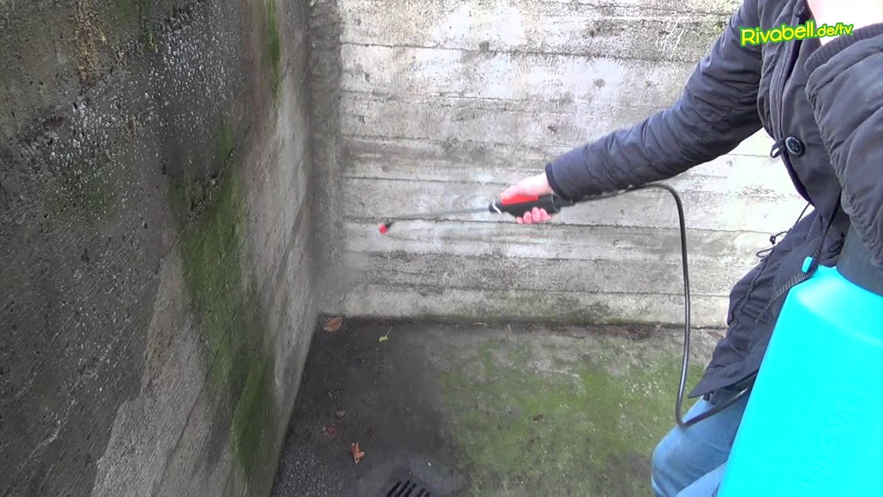 Rivabell Moos- und Algenentferner - Kellereingang / Steinfl&auml;chen s&auml;ubern