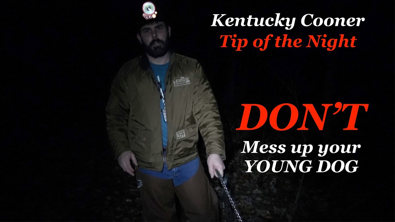 Tip of the night (Don't Mess up your Young Dogs)
