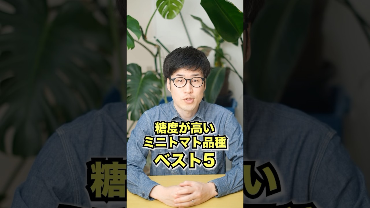 甘いミニトマトを育てたい！糖度が高いミニトマト品種ベスト5 #家庭菜園 #野菜作り #ミニトマト