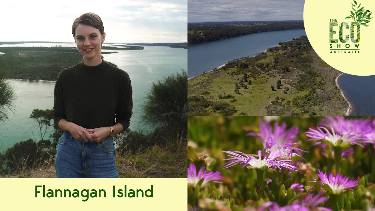 The Eco Show - S01E06 - Flannagan Island