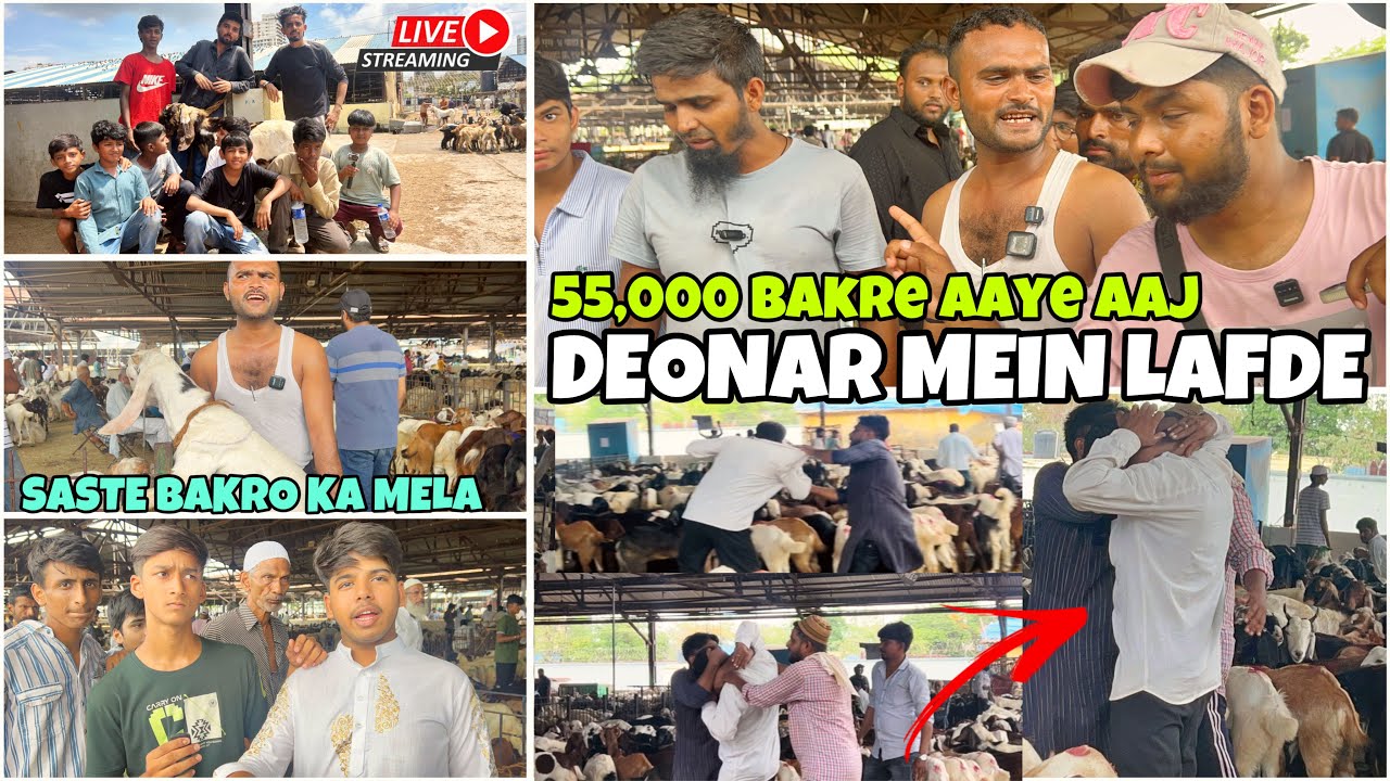 DEONAR BAKRA MANDI LATEST UPDATE 2025 , QURBANI SPECIAL MARKET , SATURDAY LIVE UPDATE