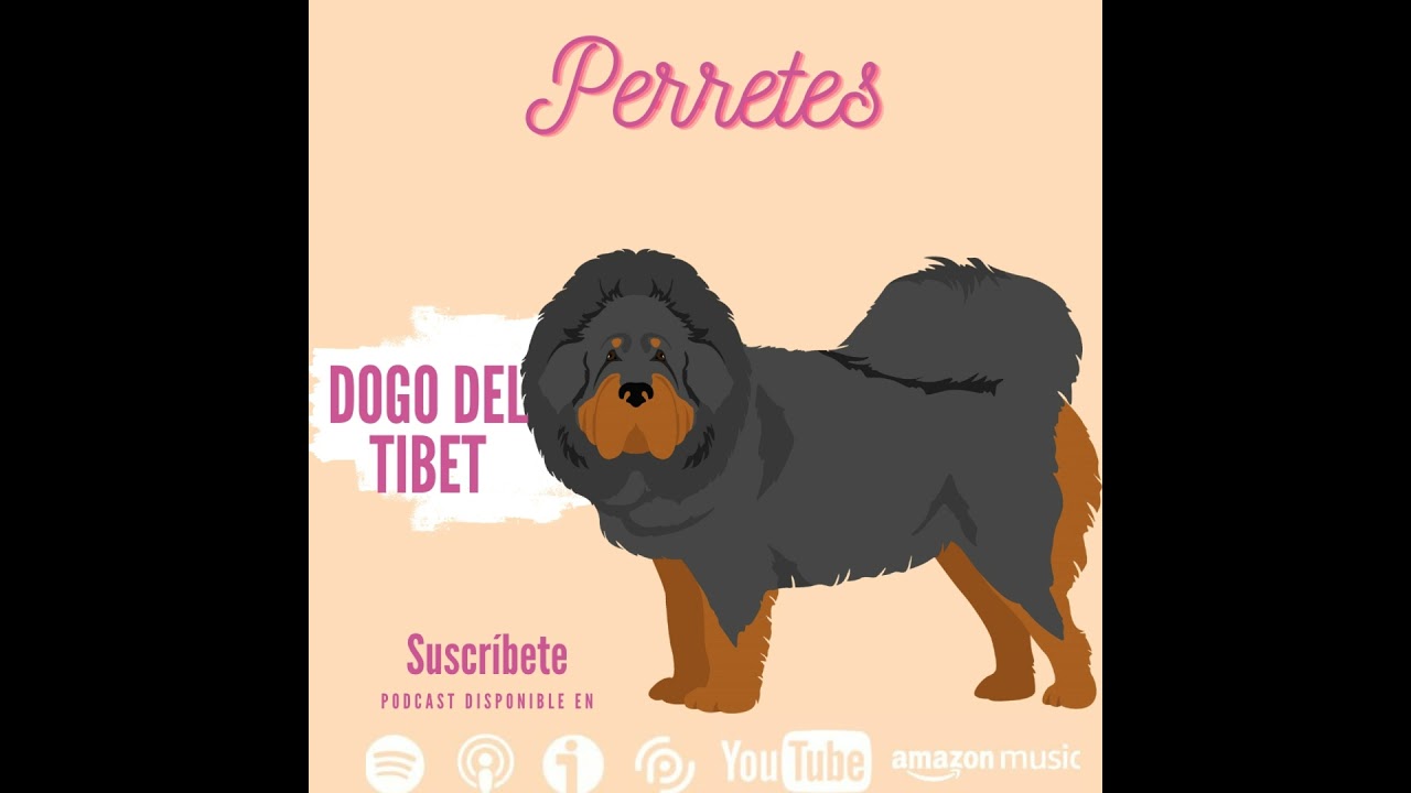Ep85: Dogo del Tibet