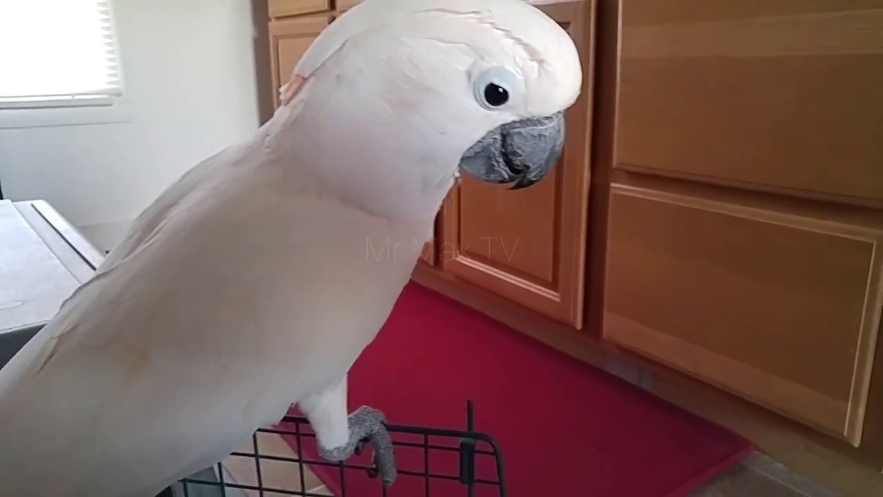 Is That The Carrier I See ??!!