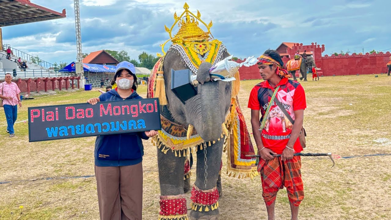 ดาวมีปาฏิหาริย์เกิดขึ้นดาวได้รางวัล..