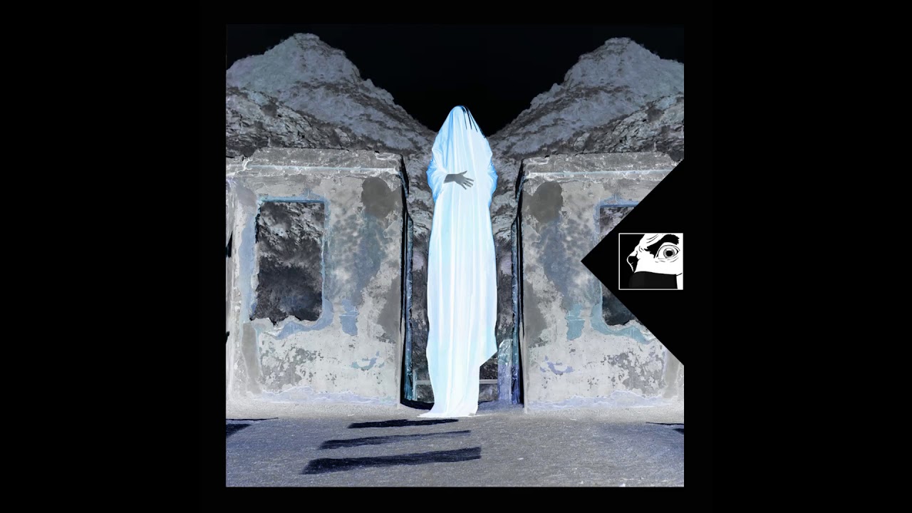 Waltervelt - Invisible Frequency