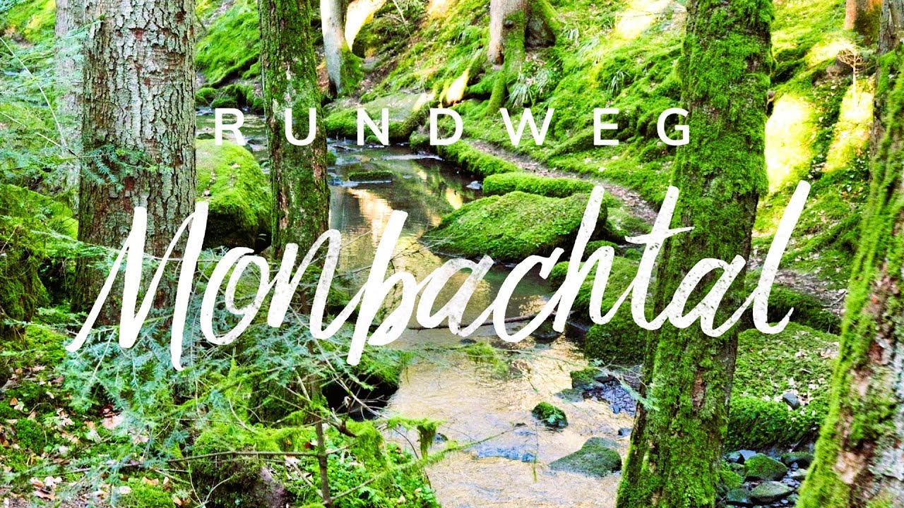🌲 Wandern im Monbachtal &ndash; Von Bad Liebenzell ins Monbachtal | Traumhafte Rundtour 🚶&zwj;♂️🏞️