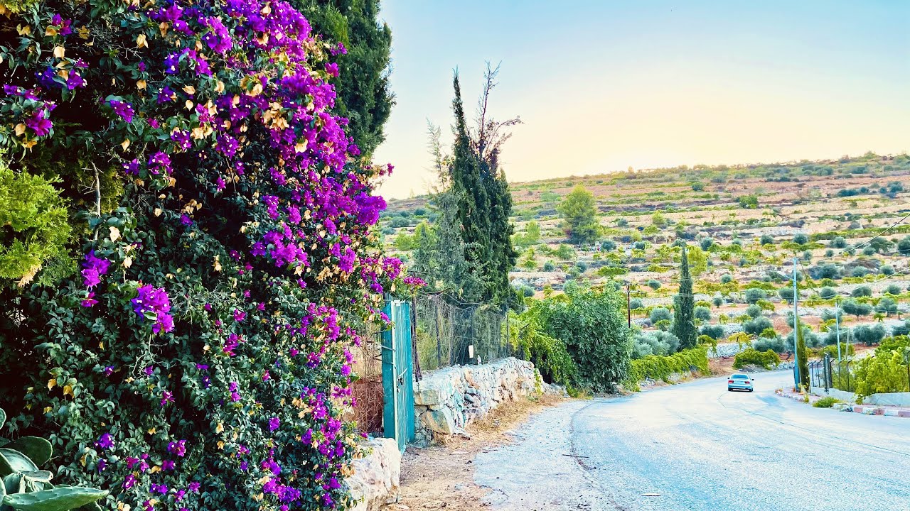بيت دقو  Beit Dowu Village, Palestine 