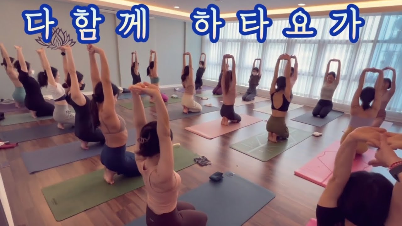 [엔젤요가] 다함께 하타요가 | 요가수업영상 | 데일리요가 | 모닝요가 | 홈요가| yoga