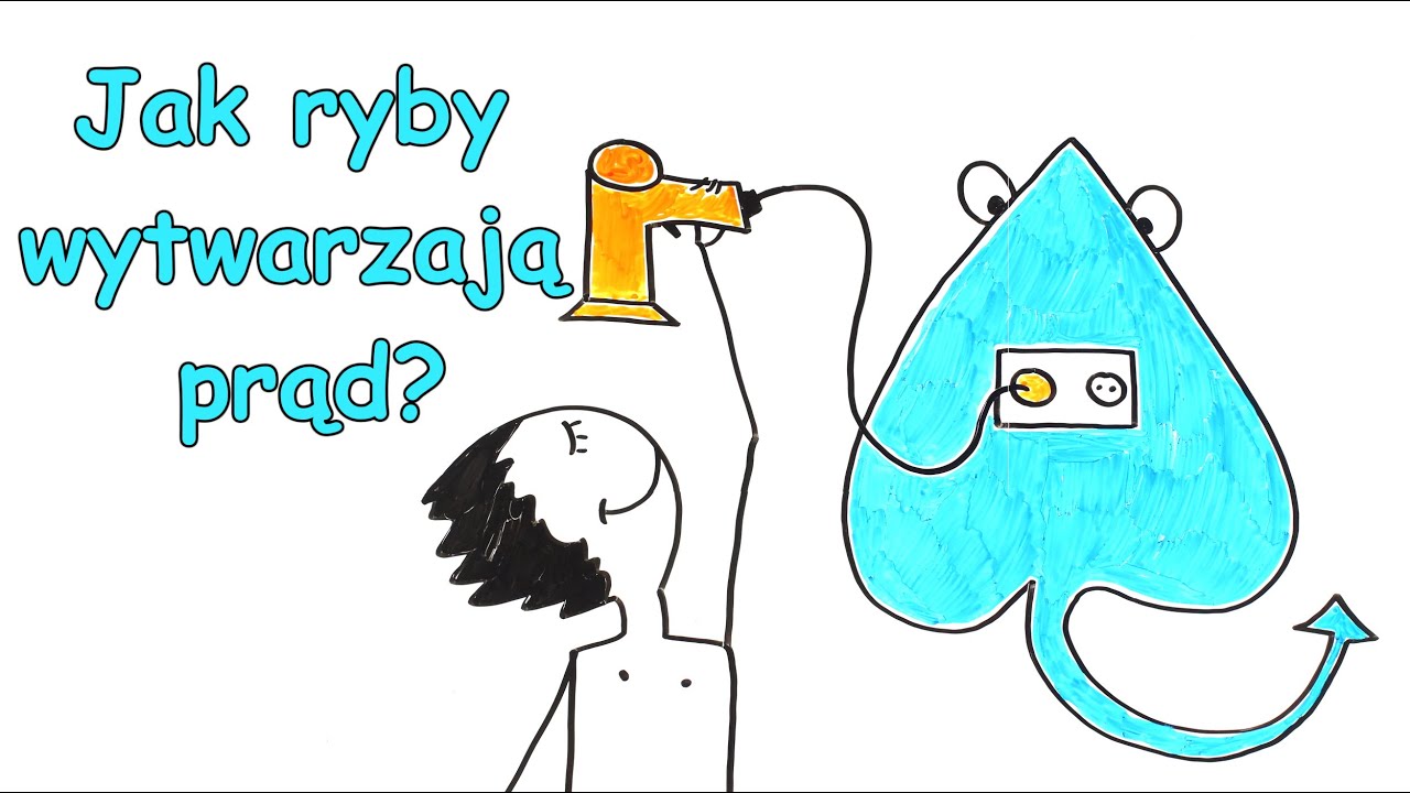 Jak węgorz i drętwa wytwarzają prąd?