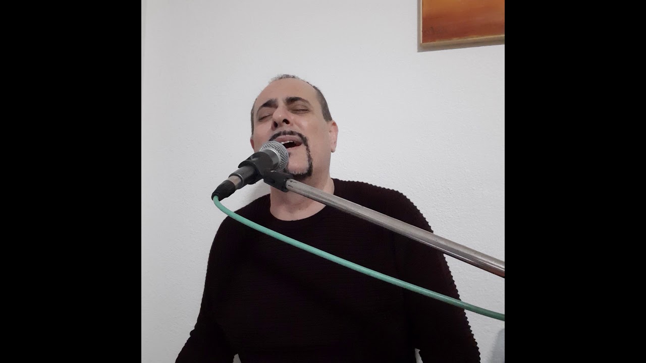 Два галеба бела - Павле Витанов