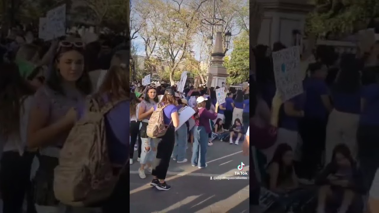 As&iacute; se vivi&oacute; la marcha feminista del 8M en Aguascalientes