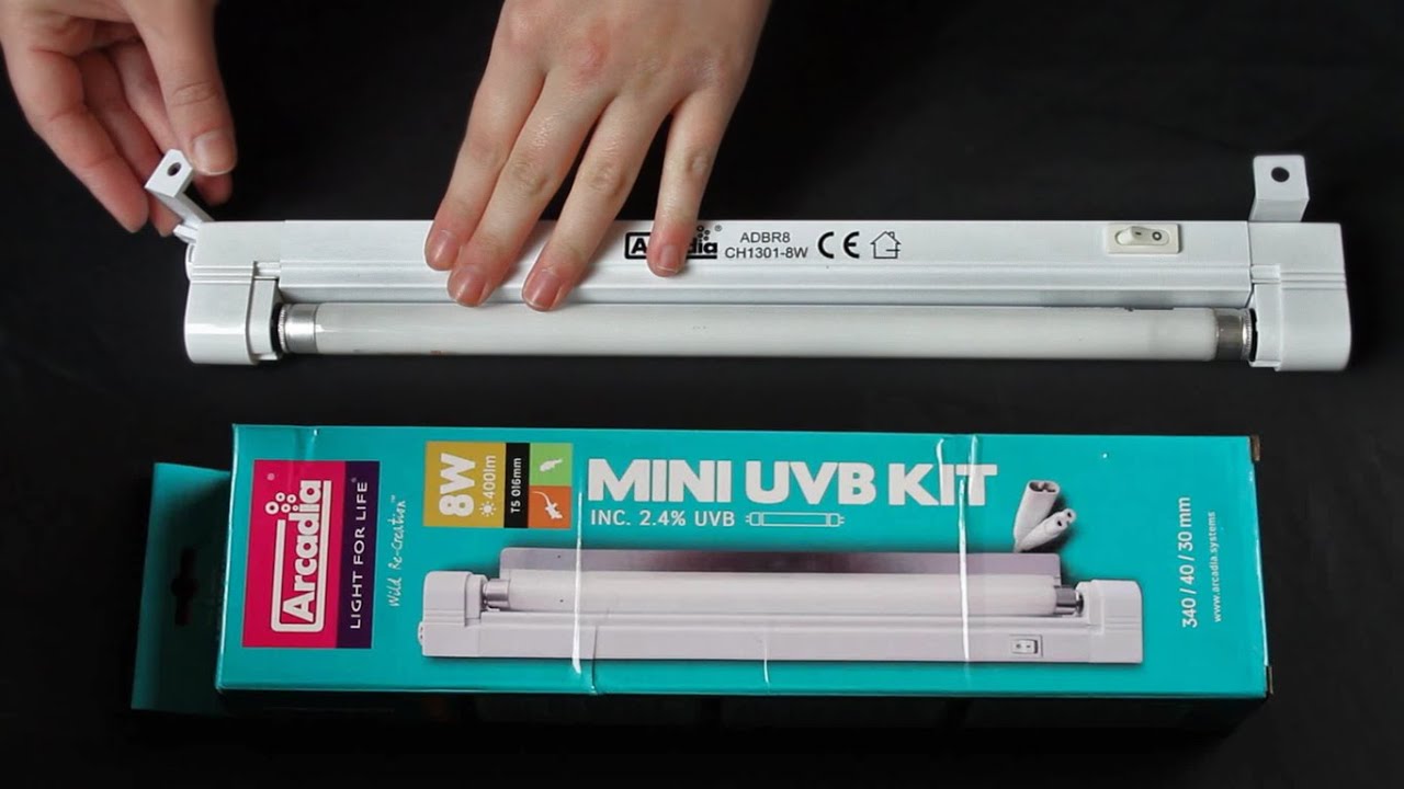 Мини-комплект UVB от Arcadia | Распаковка и настройка