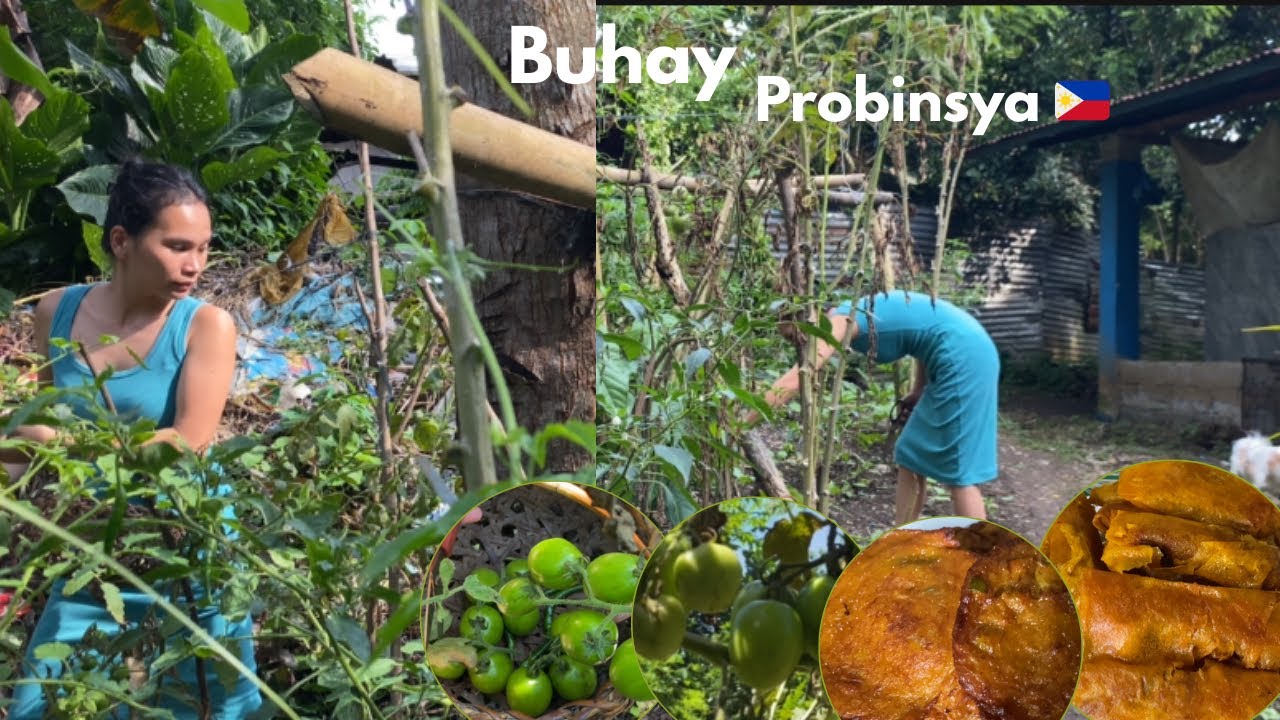  Different ways to cook Squash in my rustic Filipino Home | Filipino Countryside Life 