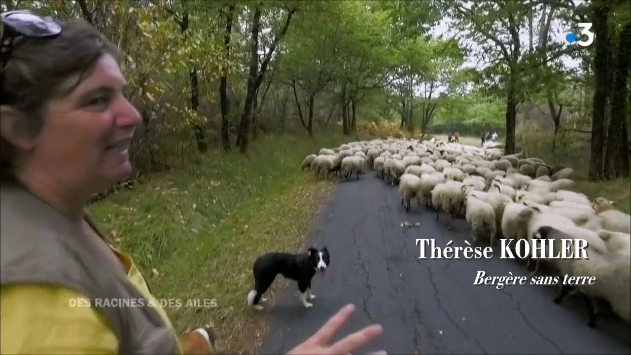Thérèse Kohler, bergère sans terre dans la Forêt de La Double