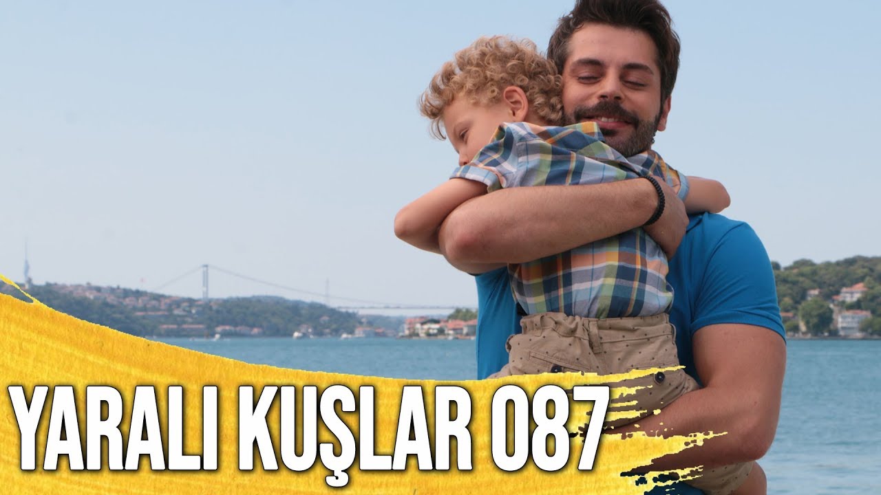 Yaralı Kuşlar 87. Bölüm