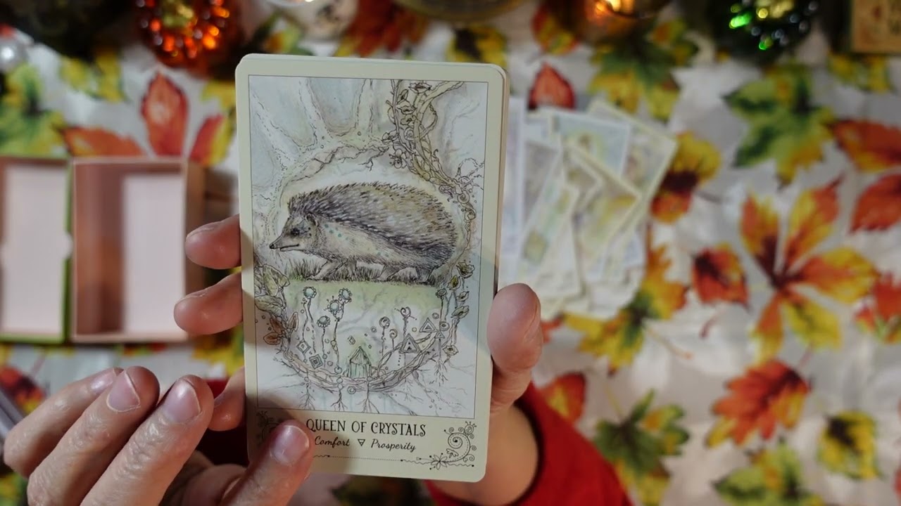 SPIRITSONG TAROT -Deck Review- MERGING SPECIFIC ANIMALS' UNIQUE POWERS WITH CLASSIC TAROT PRACTICES!