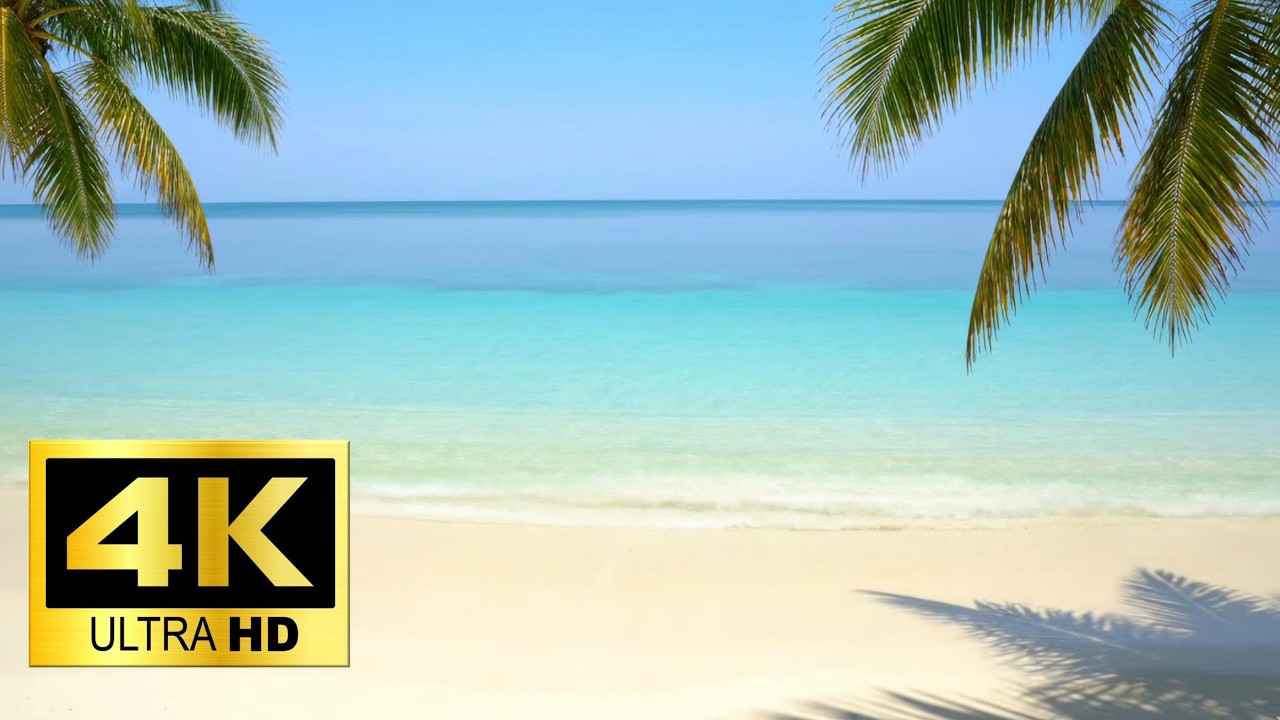 🏖️ White Sandy Beach Screensaver 4K | Tropical Palms & Ocean Waves | Endless Loop #oceanwaves #beach
