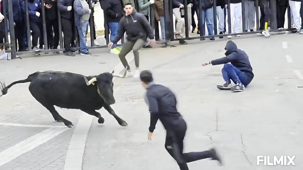 Valentía extrema: dos hombres desafían al toro para salvar una vida